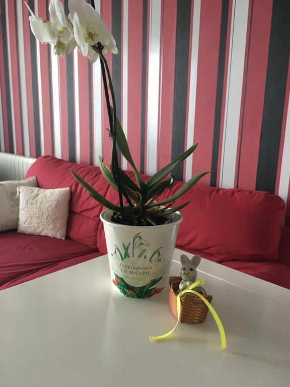 דירות קלוז'-נאפוקה Dora City Apartament מראה חיצוני תמונה